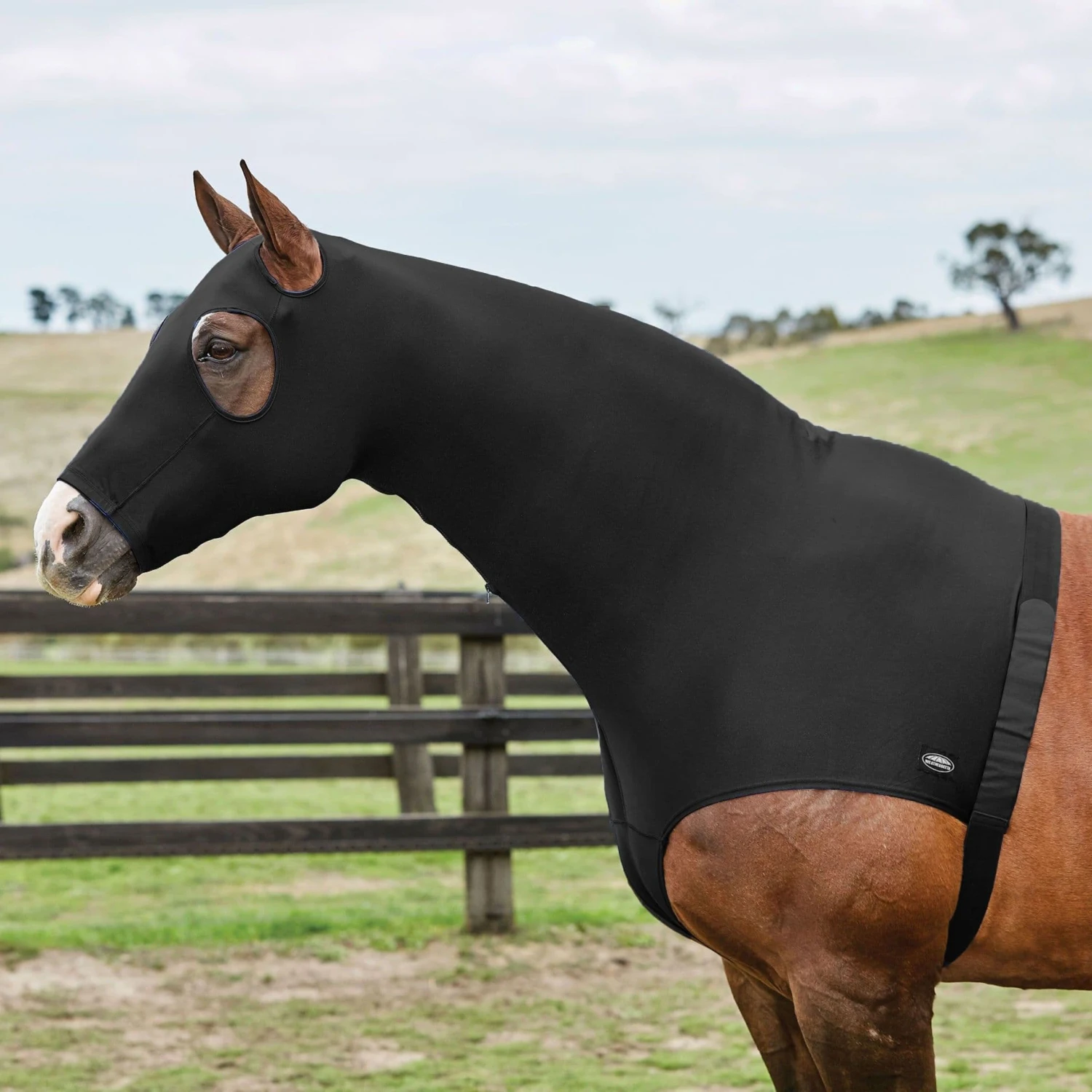 Weatherbeeta Stretch Hood With Zip 1 Weatherbeeta Stretch Hood With Zip