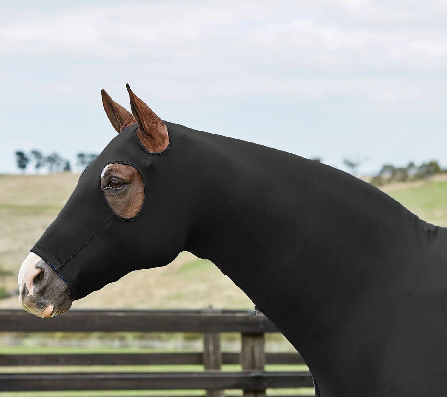 Weatherbeeta Stretch Hood With Zip 2 Weatherbeeta Stretch Hood With Zip - Image 2