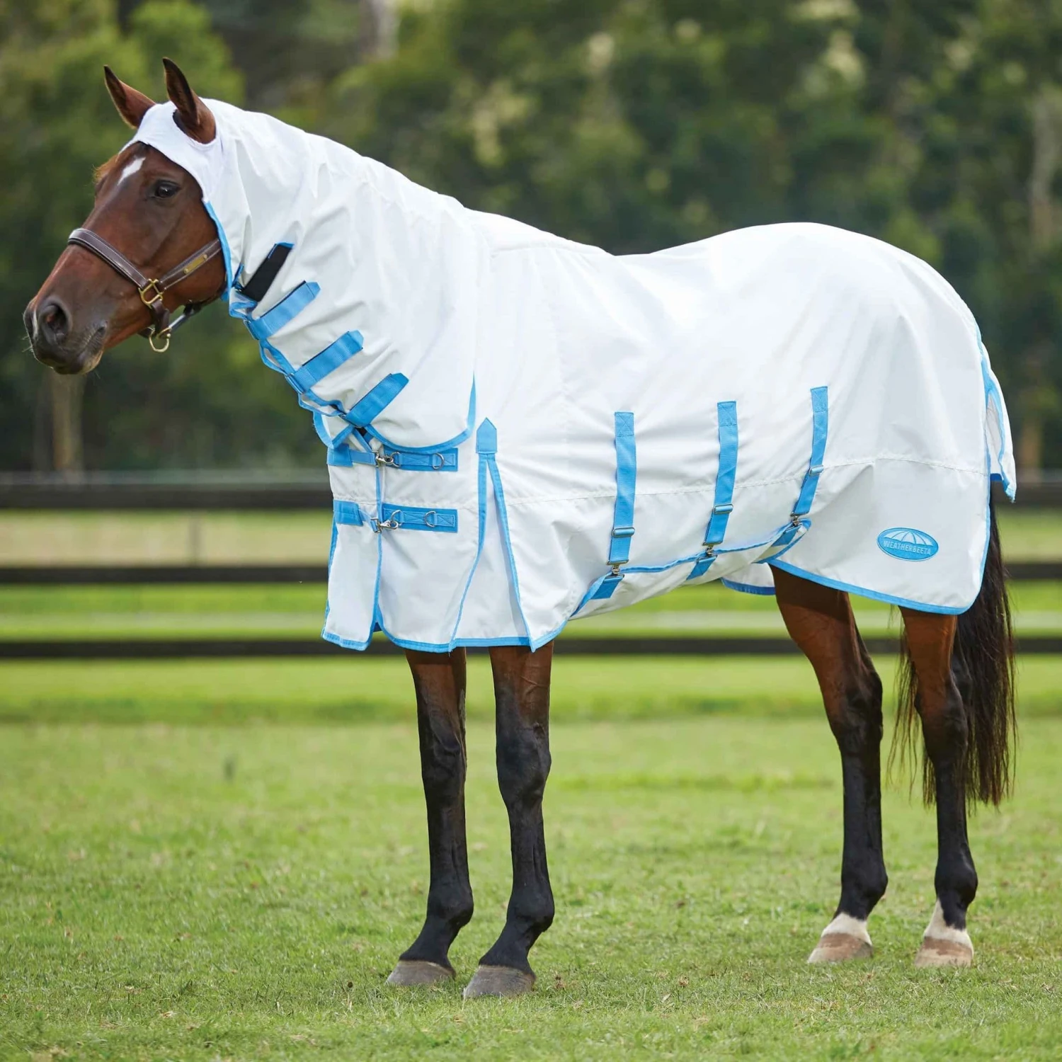 Weatherbeeta Sweet Itch Shield Combo Neck Rug 1 Weatherbeeta Sweet Itch Shield Combo Neck Rug