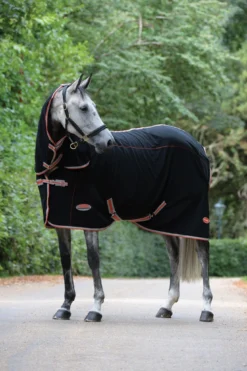 Weatherbeeta Therapy-Tec Fleece Combo Neck Therapy Rug Black/Silver/Red